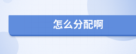 怎么分配啊