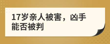 17岁亲人被害，凶手能否被判