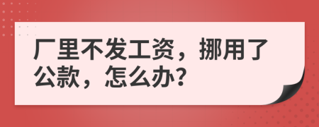 厂里不发工资，挪用了公款，怎么办？