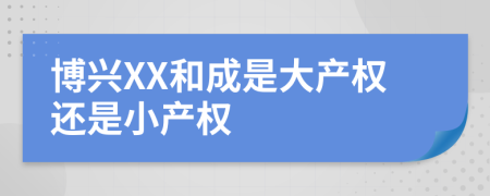 博兴XX和成是大产权还是小产权