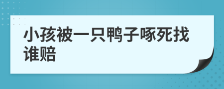 小孩被一只鸭子啄死找谁赔