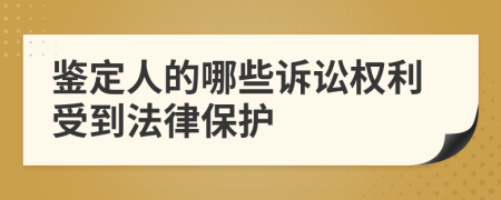 鉴定人的哪些诉讼权利受到法律保护