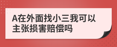 A在外面找小三我可以主张损害赔偿吗