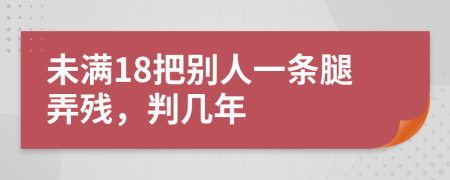 未满18把别人一条腿弄残，判几年