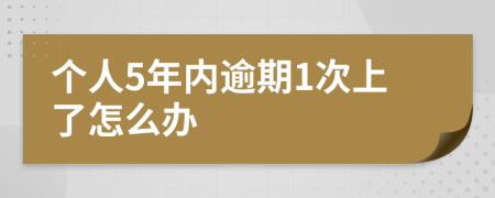 个人5年内逾期1次上了怎么办