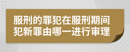 服刑的罪犯在服刑期间犯新罪由哪一进行审理