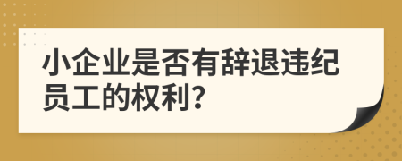 小企业是否有辞退违纪员工的权利？