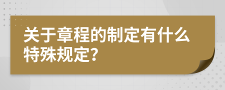 关于章程的制定有什么特殊规定？