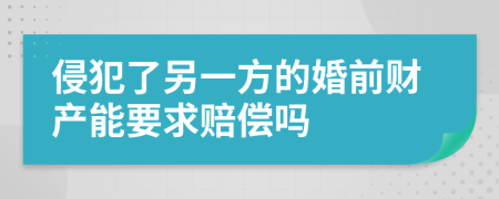 侵犯了另一方的婚前财产能要求赔偿吗