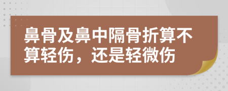 鼻骨及鼻中隔骨折算不算轻伤，还是轻微伤