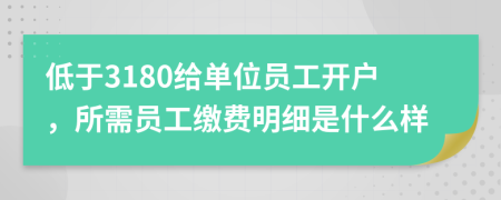 低于3180给单位员工开户，所需员工缴费明细是什么样