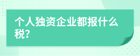 个人独资企业都报什么税？