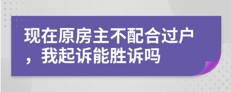 现在原房主不配合过户，我起诉能胜诉吗