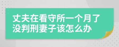 丈夫在看守所一个月了没判刑妻子该怎么办