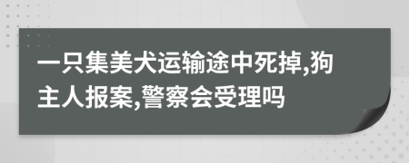 一只集美犬运输途中死掉,狗主人报案,警察会受理吗