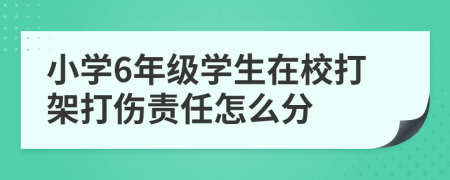 小学6年级学生在校打架打伤责任怎么分