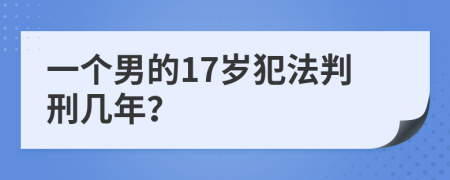 一个男的17岁犯法判刑几年？