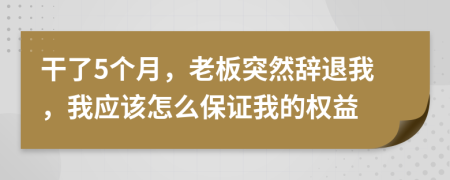 干了5个月，老板突然辞退我，我应该怎么保证我的权益