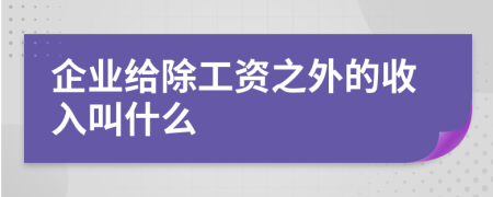 企业给除工资之外的收入叫什么