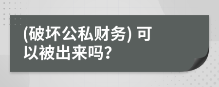 (破坏公私财务) 可以被出来吗？