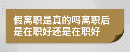 假离职是真的吗离职后是在职好还是在职好