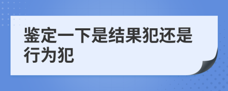 鉴定一下是结果犯还是行为犯