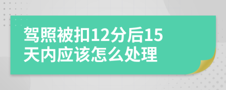 驾照被扣12分后15天内应该怎么处理