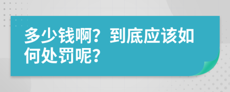 多少钱啊？到底应该如何处罚呢？