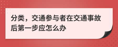 分类，交通参与者在交通事故后第一步应怎么办