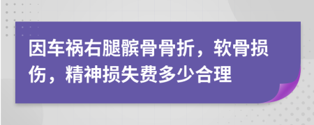 因车祸右腿髌骨骨折，软骨损伤，精神损失费多少合理