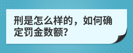 刑是怎么样的，如何确定罚金数额？