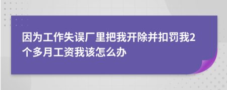 因为工作失误厂里把我开除并扣罚我2个多月工资我该怎么办