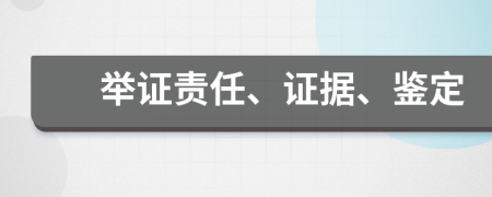 举证责任、证据、鉴定