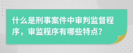 什么是刑事案件中审判监督程序，审监程序有哪些特点？