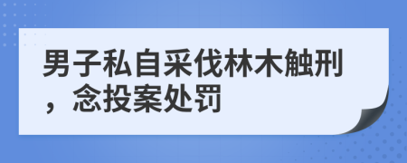 男子私自采伐林木触刑，念投案处罚