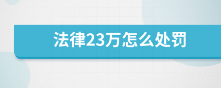 法律23万怎么处罚