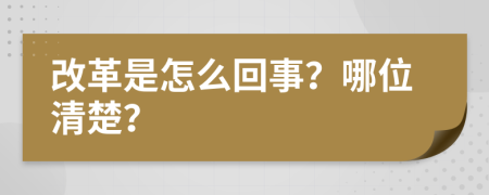 改革是怎么回事？哪位清楚？