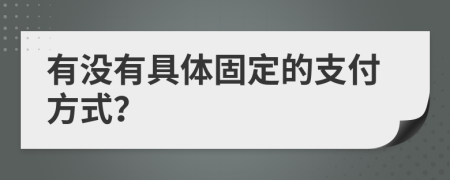 有没有具体固定的支付方式？