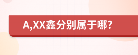 A,XX鑫分别属于哪?