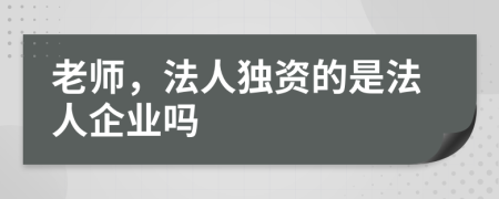 老师，法人独资的是法人企业吗