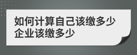 如何计算自己该缴多少企业该缴多少