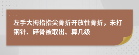 左手大拇指指尖骨折开放性骨折，未打钢针、碎骨被取出、算几级