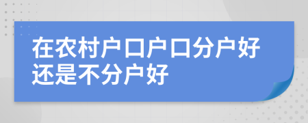 在农村户口户口分户好还是不分户好