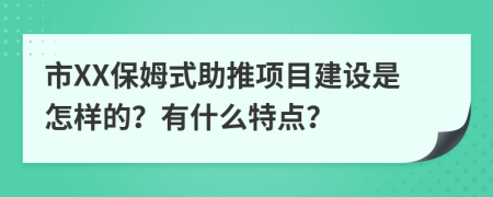 市XX保姆式助推项目建设是怎样的？有什么特点？