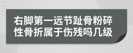 右脚第一远节趾骨粉碎性骨折属于伤残吗几级