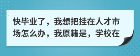 快毕业了，我想把挂在人才市场怎么办，我原籍是，学校在