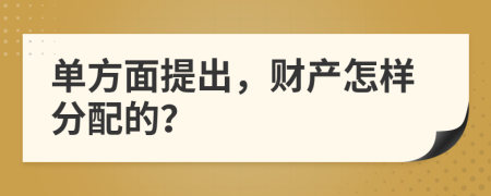 单方面提出，财产怎样分配的？