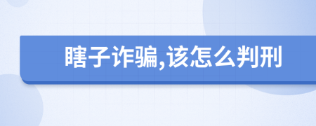 瞎子诈骗,该怎么判刑