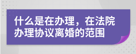 什么是在办理，在法院办理协议离婚的范围