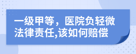 一级甲等，医院负轻微法律责任,该如何赔偿